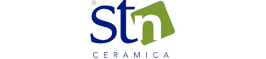 stn logo
